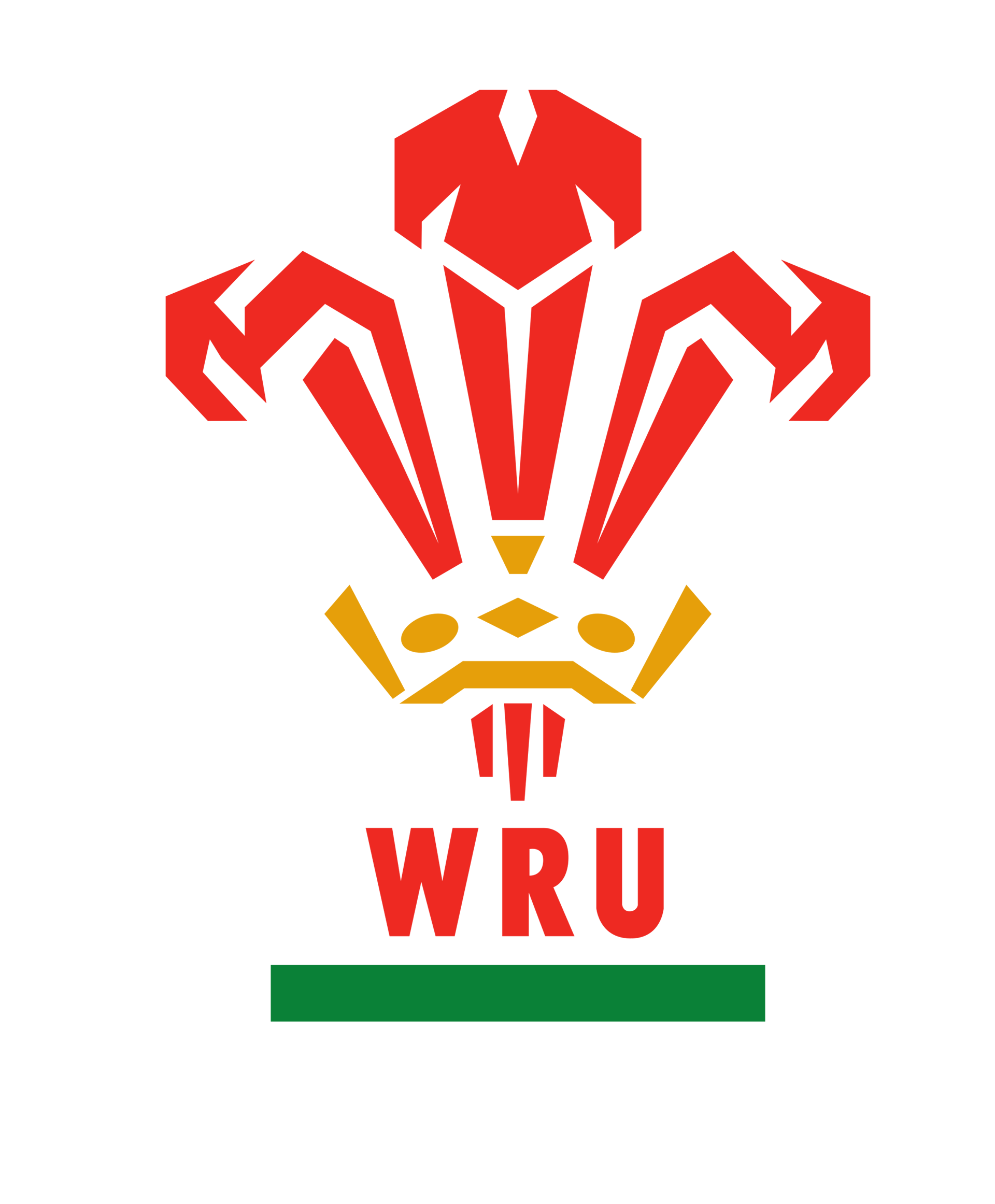 Welsh Rugby Union | Wales & Regions